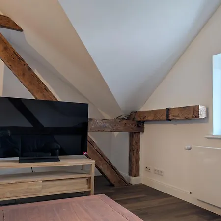 Winzervilla Kammerhof - 3x Stilvolle&geräumige Fewos Mit Moselblick, 2-12 Gäste Buchbar, Direkt Am Moselradweg * Brauneberg