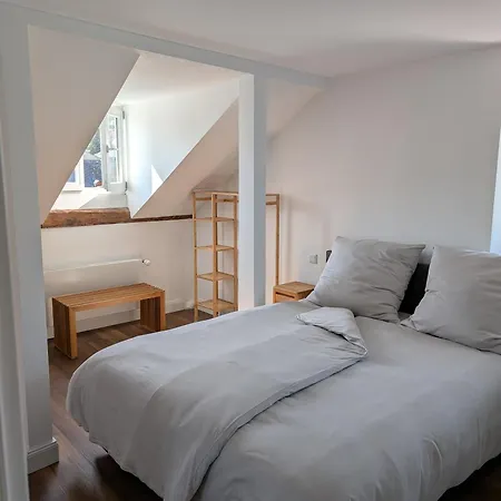 Apartment Winzervilla Kammerhof - 3x Stilvolle&geräumige Fewos Mit Moselblick, 2-12 Gäste Buchbar, Direkt Am Moselradweg Brauneberg