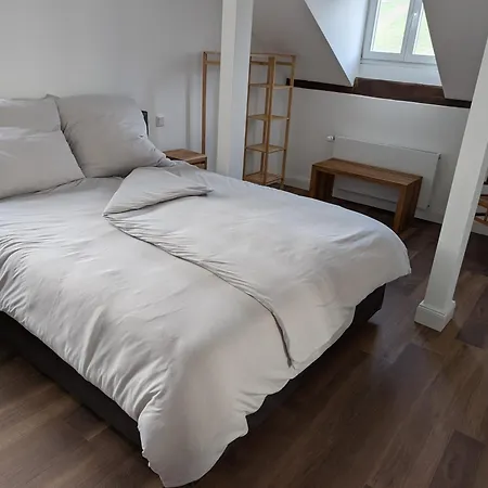 Winzervilla Kammerhof - 3x Stilvolle&geräumige Fewos Mit Moselblick, 2-12 Gäste Buchbar, Direkt Am Moselradweg Apartment