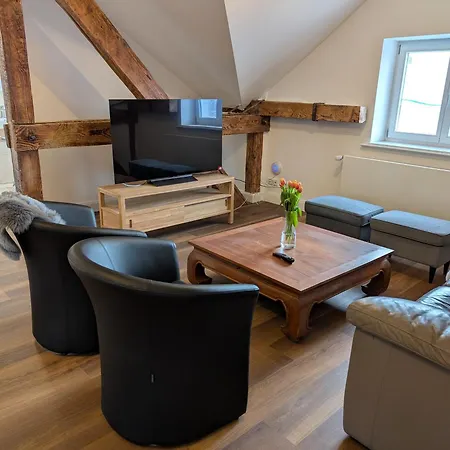Lägenhet Winzervilla Kammerhof - 3x Stilvolle & Geraeumige Fewos Mit Moselblick, 2-12 Gaeste Buchbar, Direkt Am Moselradweg Brauneberg