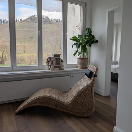 Winzervilla Kammerhof - 3x Stilvolle & Geraeumige Fewos Mit Moselblick, 2-12 Gaeste Buchbar, Direkt Am Moselradweg *