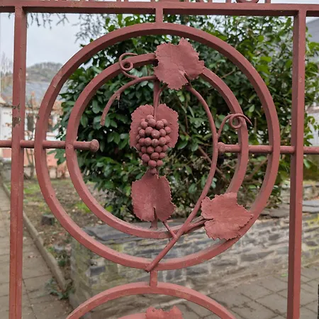 Lägenhet Winzervilla Kammerhof - 3x Stilvolle & Geraeumige Fewos Mit Moselblick, 2-12 Gaeste Buchbar, Direkt Am Moselradweg *