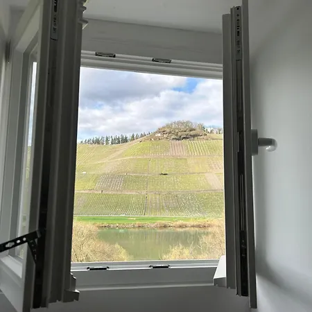 Lägenhet Winzervilla Kammerhof - 3x Stilvolle & Geraeumige Fewos Mit Moselblick, 2-12 Gaeste Buchbar, Direkt Am Moselradweg Brauneberg