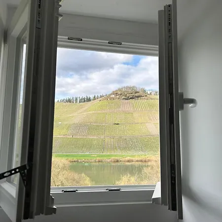 Appartement Winzervilla Kammerhof - 3x Stilvolle & Geraeumige Fewos Mit Moselblick, 2-12 Gaeste Buchbar, Direkt Am Moselradweg Brauneberg