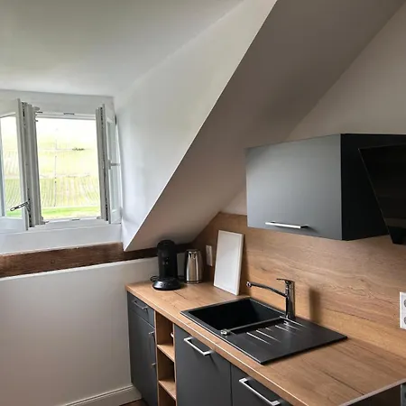 Winzervilla Kammerhof - 3x Stilvolle & Geraeumige Fewos Mit Moselblick, 2-12 Gaeste Buchbar, Direkt Am Moselradweg