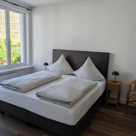 Winzervilla Kammerhof - 3x Stilvolle & Geraeumige Fewos Mit Moselblick, 2-12 Gaeste Buchbar, Direkt Am Moselradweg Appartement