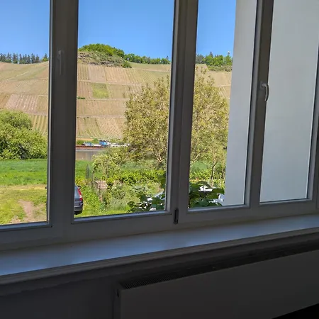 Winzervilla Kammerhof - 3x Stilvolle & Geraeumige Fewos Mit Moselblick, 2-12 Gaeste Buchbar, Direkt Am Moselradweg * Brauneberg