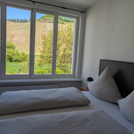 Winzervilla Kammerhof - 3x Stilvolle & Geraeumige Fewos Mit Moselblick, 2-12 Gaeste Buchbar, Direkt Am Moselradweg Браунеберг