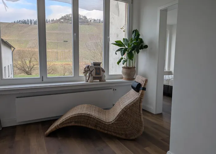 Winzervilla Kammerhof - 3x Stilvolle & Geraeumige Fewos Mit Moselblick, 2-12 Gaeste Buchbar, Direkt Am Moselradweg *