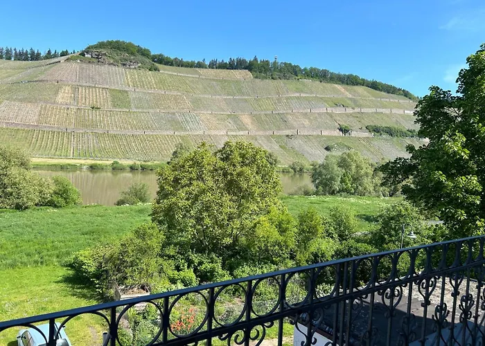 Appartement Winzervilla Kammerhof - 3x Stilvolle & Geraeumige Fewos Mit Moselblick, 2-12 Gaeste Buchbar, Direkt Am Moselradweg