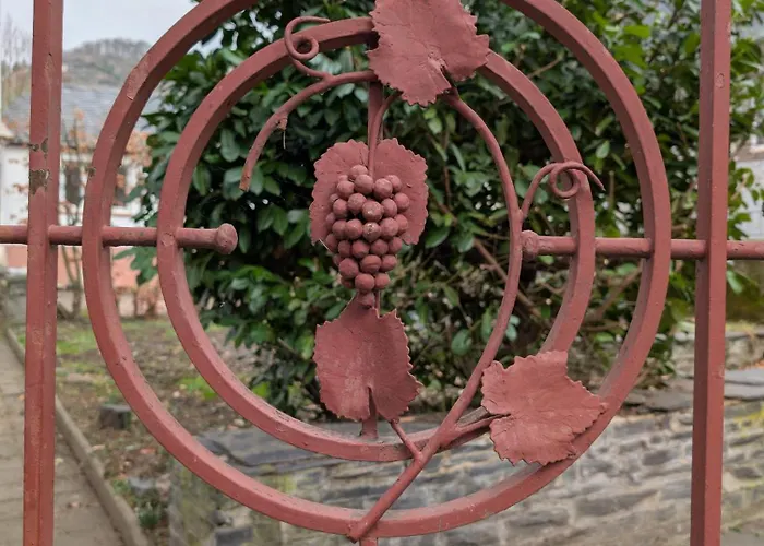 Appartement Winzervilla Kammerhof - 3x Stilvolle & Geraeumige Fewos Mit Moselblick, 2-12 Gaeste Buchbar, Direkt Am Moselradweg *