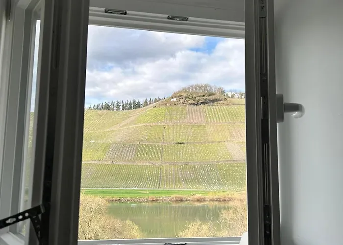 Appartement Winzervilla Kammerhof - 3x Stilvolle & Geraeumige Fewos Mit Moselblick, 2-12 Gaeste Buchbar, Direkt Am Moselradweg Brauneberg