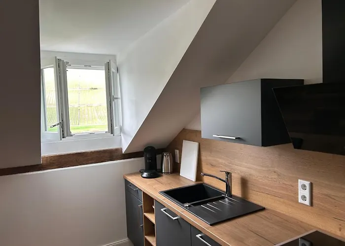 Winzervilla Kammerhof - 3x Stilvolle & Geraeumige Fewos Mit Moselblick, 2-12 Gaeste Buchbar, Direkt Am Moselradweg