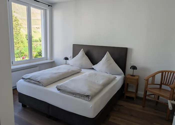 Winzervilla Kammerhof - 3x Stilvolle & Geraeumige Fewos Mit Moselblick, 2-12 Gaeste Buchbar, Direkt Am Moselradweg Appartement