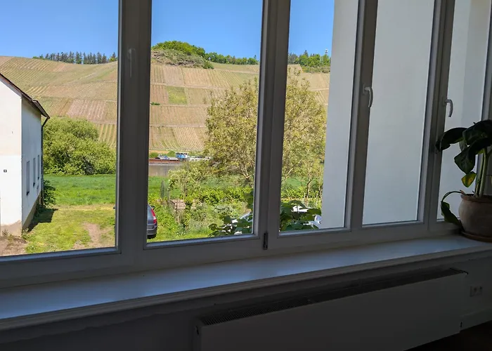 Winzervilla Kammerhof - 3x Stilvolle & Geraeumige Fewos Mit Moselblick, 2-12 Gaeste Buchbar, Direkt Am Moselradweg * Brauneberg