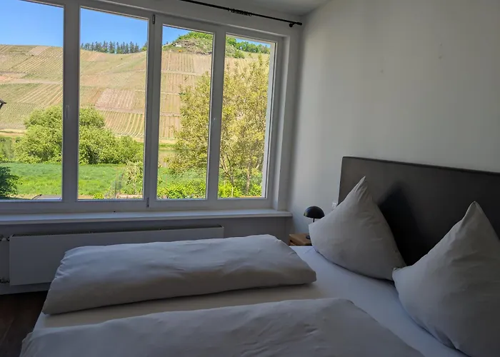 Winzervilla Kammerhof - 3x Stilvolle & Geraeumige Fewos Mit Moselblick, 2-12 Gaeste Buchbar, Direkt Am Moselradweg Brauneberg